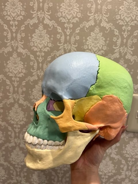 外科矯正　サージェリーファーストとは