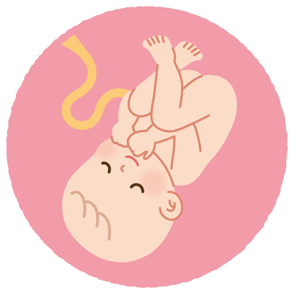 妊娠期ごとの歯列矯正中の過ごし方注意点　妊娠初期から後期までの矯正中の過ごし方