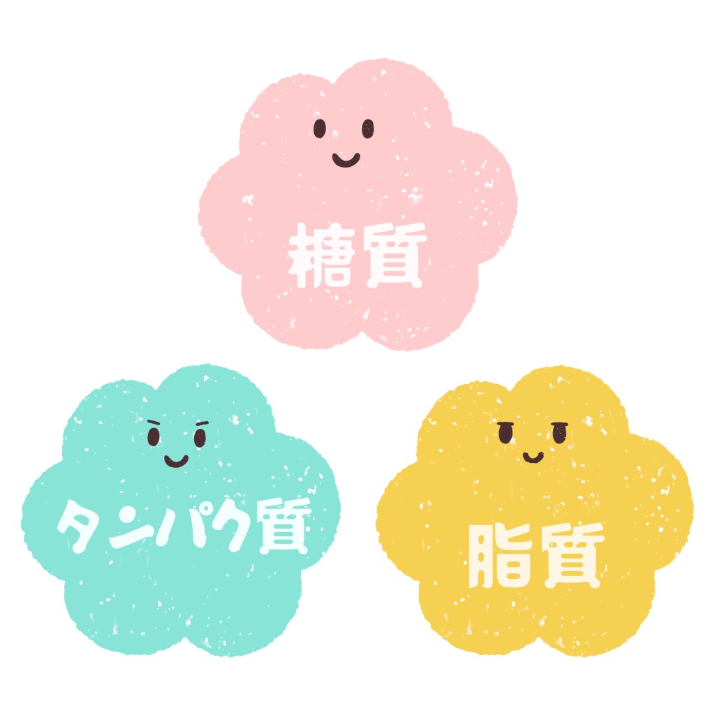 矯正中に特に大切な3つの栄養素　矯正中の食事管理や大事な栄養素について