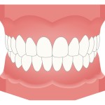 口元の健康とは何か？ 歯並び・噛み合わせが全身に及ぼす影響はなにか